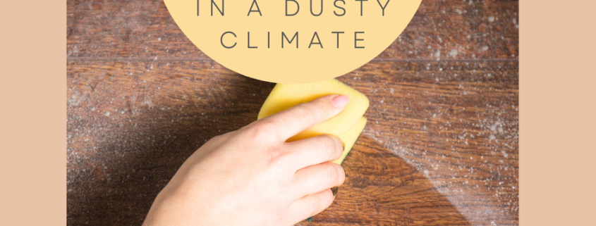 Dusty Climates and Storage